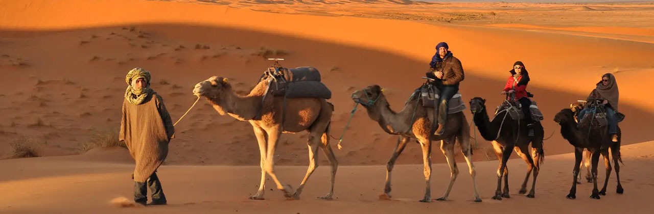 Rajasthan Tour Packages